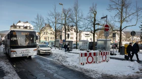 Wenn Bäume Bäumen weichen