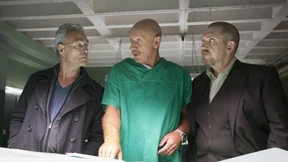 Peilsender sind besser als Liebes-Algorithmen