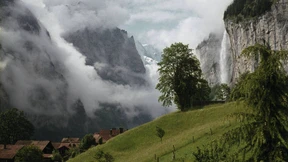 Herr Meiners ist ein Hasenfuß