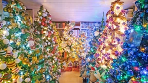 „20 Bäume stehen im Schlafzimmer, 39 in der Küche“