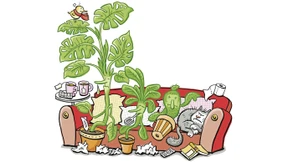 Können Pflanzen an Corona erkranken?