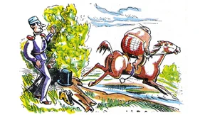 Im Galopp über den Flickenteppich