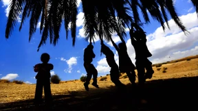 Die Dattel aus Jericho ist nur der Anfang vom Frieden