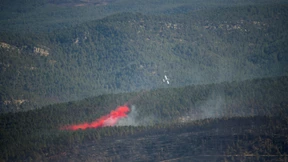 Gierige Flammen schon im März