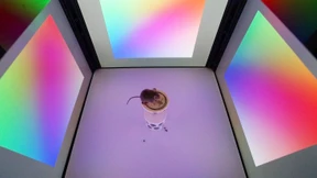 Die spinnen, die Finnen