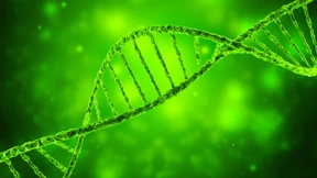 Die Zukunft wird schlauer