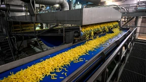 Kartoffelindustrie kämpft mit Corona-Folgen
