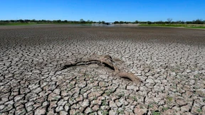 Klimawandel trifft bereits alle Kontinente