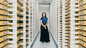 Warum der Kampf gegen den Japankäfer schwierig wird