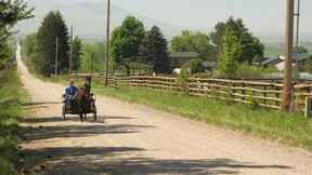Zu viele Große Geister 