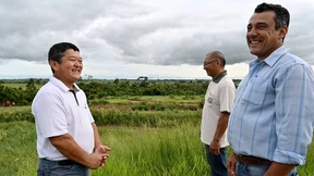 Da wächst etwas heran