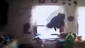 Angriff des Killereichhörnchens