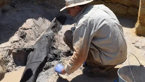 476.000 Jahre alte Konstruktionskunst