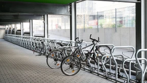 Digitalversicherer auf der Überholspur