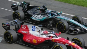 Gefeiert und verhasst