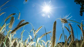 Es war der heißeste Juni aller Zeiten