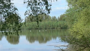 Mit dem Haubentaucher auf Fischjagd