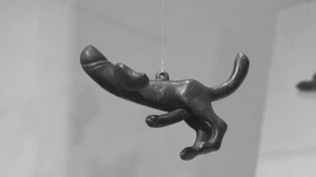 50 Shades aus professioneller Sicht