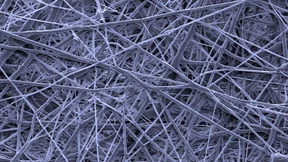 Das Goldene Vlies der Corona-Zeit