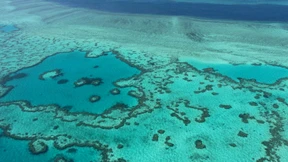 Widerstand australischer Umweltschützer soll eingeschränkt werden