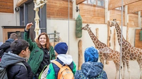 Der Gepard und der Bandscheibenvorfall