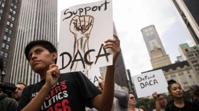 Wenn der amerikanische Traum zum Albtraum wird 