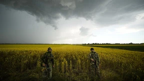 Ukraine wird für längere Zeit vom Weizenmarkt verschwinden