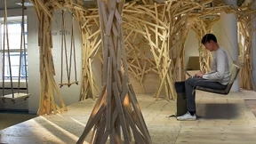 Die Brutstätte platzt aus allen Nähten