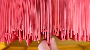 Der Unmut der Auslandsdeutschen