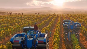 Warum wollen alle so gerne Bauer sein?