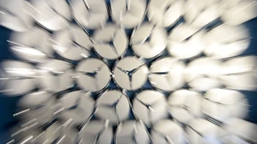 Deutsche Top-Unternehmen trotzen Konjunkturflaute mit höheren Gewinnen