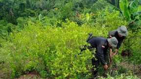 Kolumbien fordert Entschädigung wegen koksendem Weihnachtsmann
