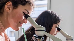 Auf welche Schule schicke ich mein Kind?