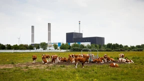 Atomausstieg lässt Häuserpreise sinken 