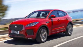 Aufstand der Schmusekater