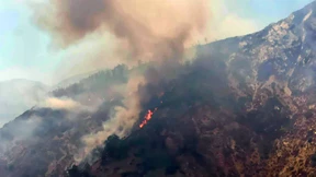 Waldbrände lassen nicht von Italien ab