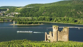 Unter den Rheingauer Winzern gärt es weiter