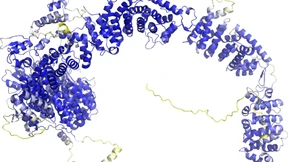 Modelle für die Vielfalt des Lebens