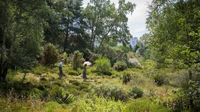 Ein Spaziergang durch den Botanischen Garten