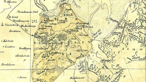 Eine Merkwürdigkeit ihres Geschlechts