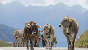 Die Sorgen der Schweizer