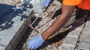 Sollen Asylbewerber zur Arbeit verpflichtet werden?