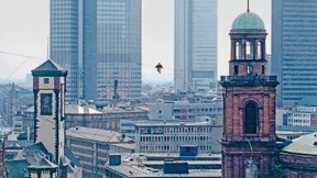 Sehen, was ein Vogel sieht