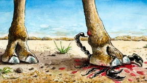 Terror militärisch bekämpfen?