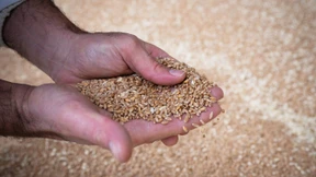 Dieses Mehl brauchen Sie für Ihr Brot