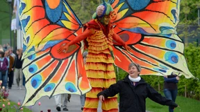 Blütenpracht und Regenschauer