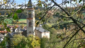 Dieser Baum darf niemals fallen