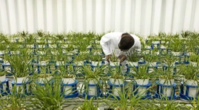 Bei Bayer bleibt kein Stein auf dem anderen