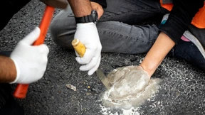 Kann die Natur das Heft in die Hand nehmen?