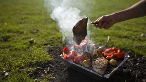 Fechenheim will Grillen im Spielpark verbieten